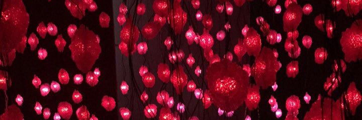 shannoniganss_'s profile banner image