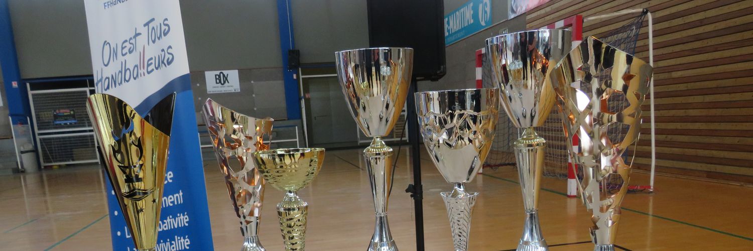 SVhandball's profile banner image