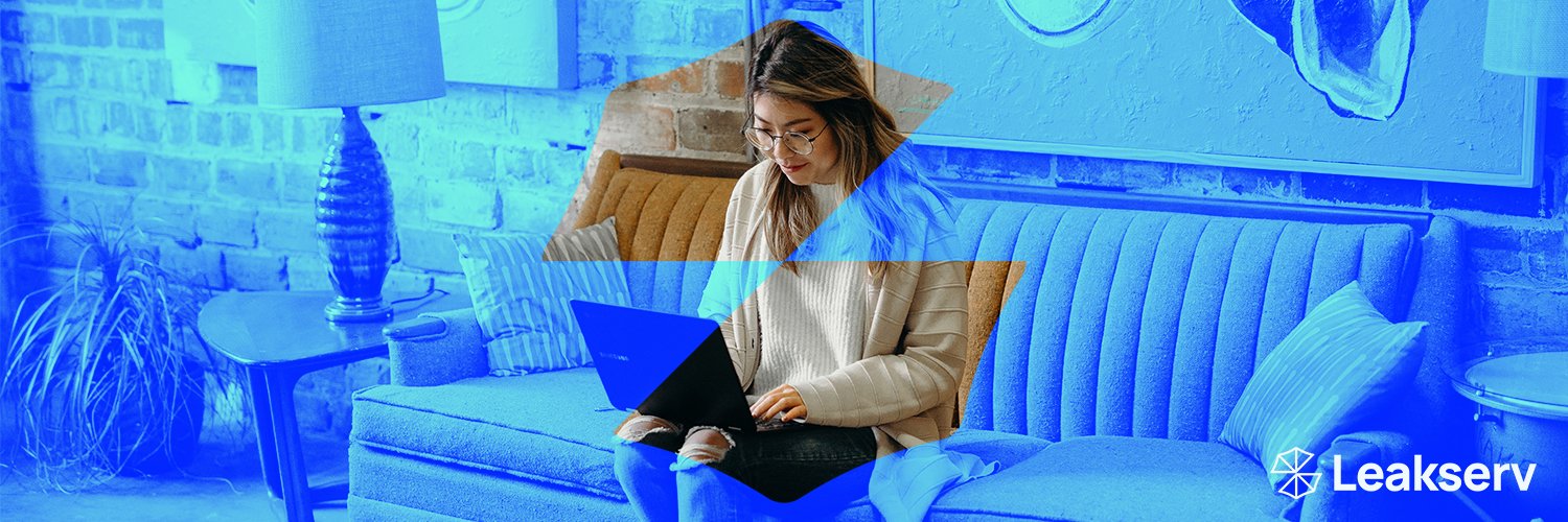 leakserv's profile banner image