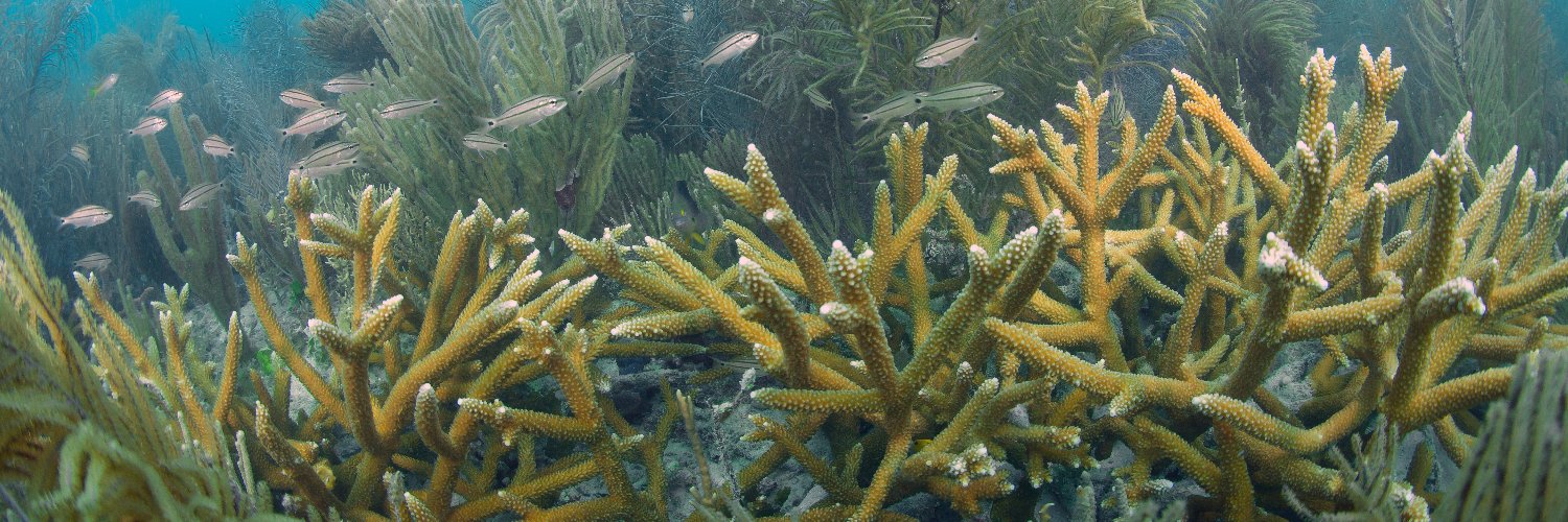 Patrick M Kiel banner