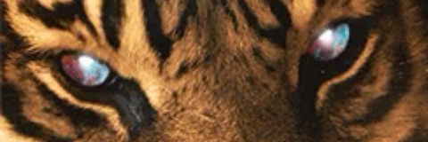 TUTankhamunRA's profile banner image
