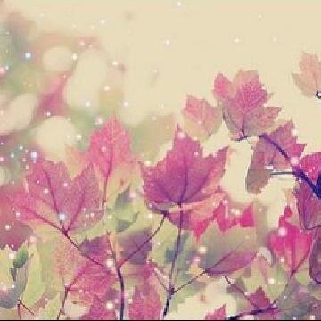 FelaShiva's profile banner image