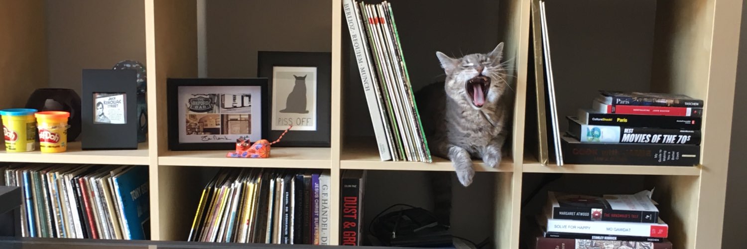 RebeccaMacKay's profile banner image