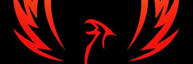 PhoenixGamesDY8's profile banner image
