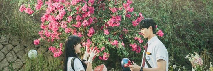 unegypsophile's profile banner image