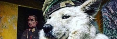 Esma ☀️ banner