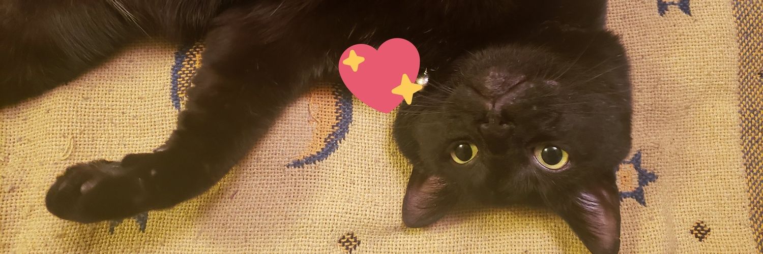 couchsrfcouture's profile banner image