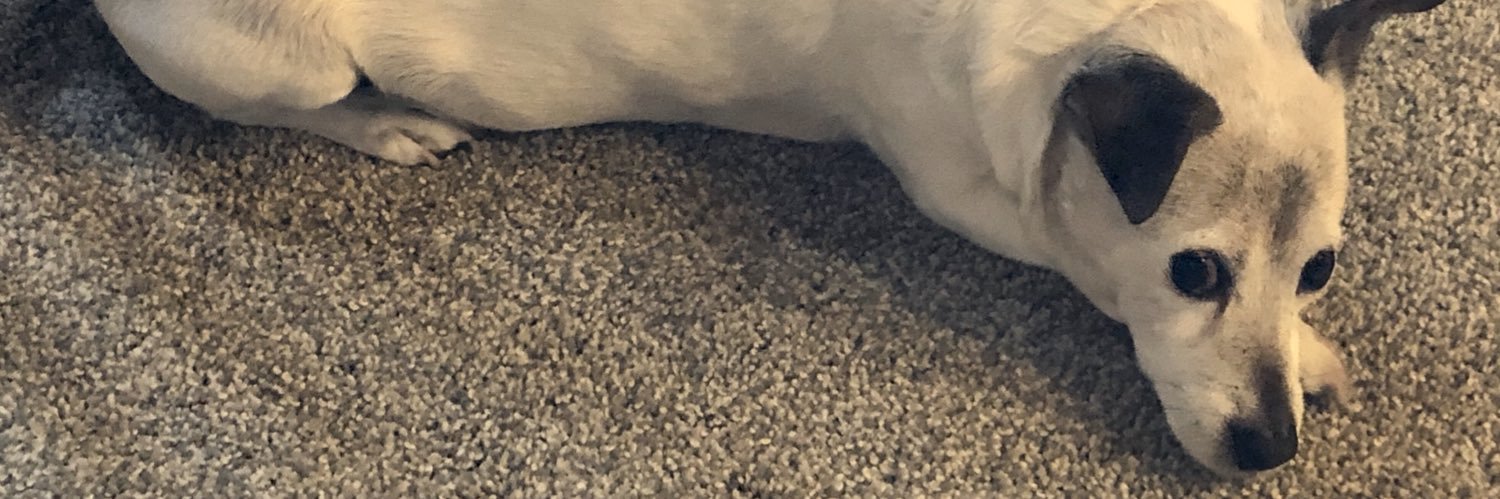 isasaurusrex's profile banner image