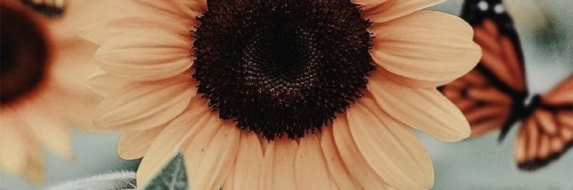 theequeenb13's profile banner image