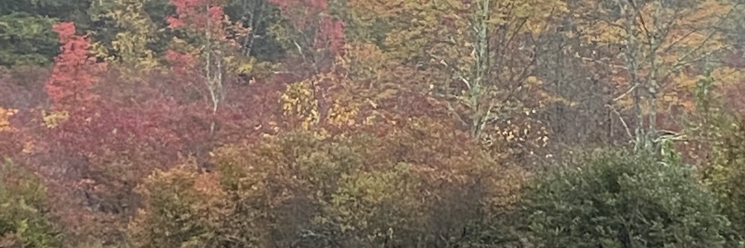 kjbreen's profile banner image
