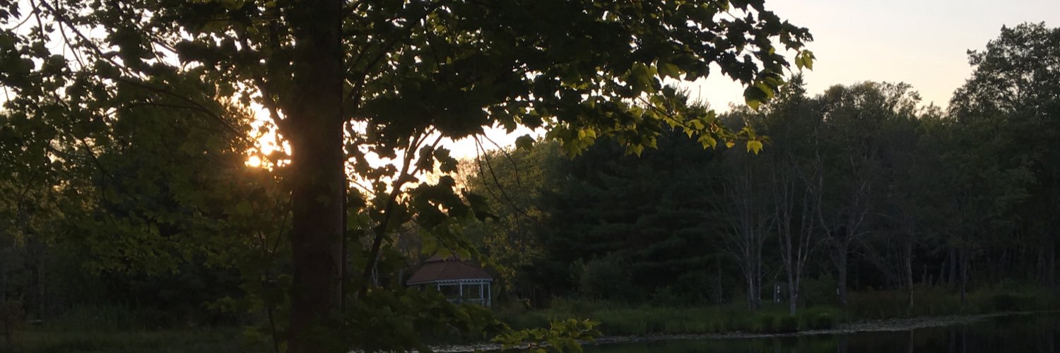 breethought's profile banner image