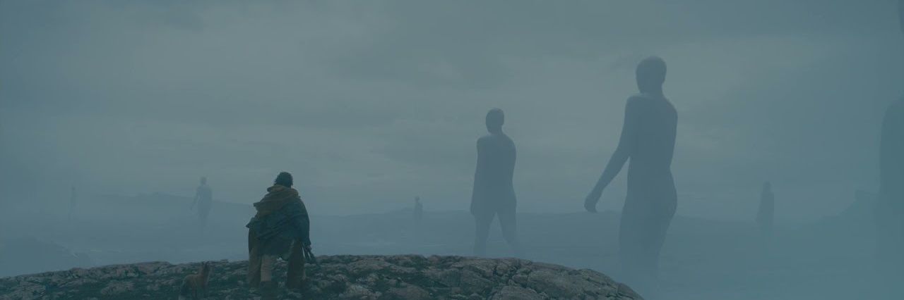 Torpaldo's profile banner image