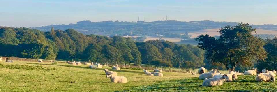 The Billinge Blog banner