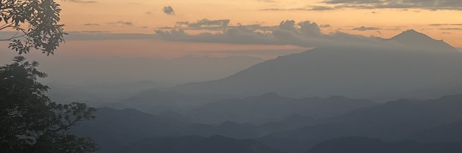 Alexandre Frazão banner