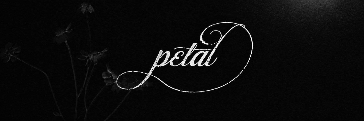 pedrette 🍋 ꕤ banner