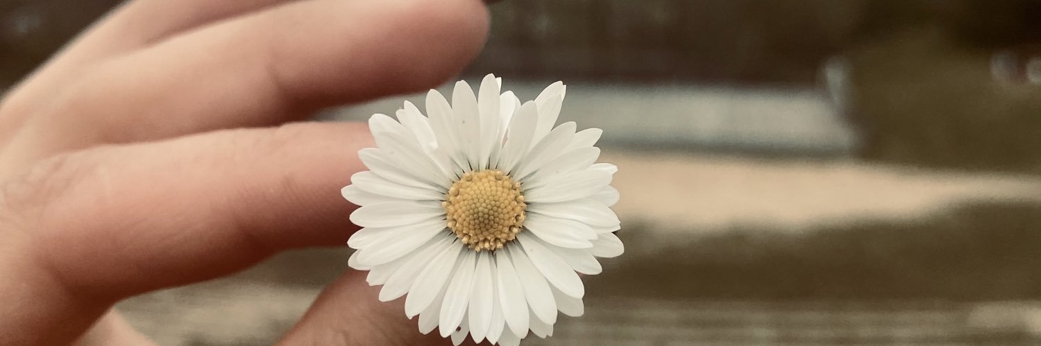 HechingerLisa's profile banner image
