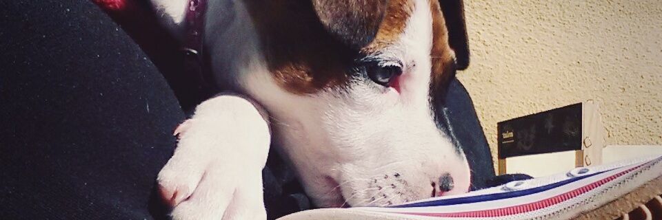 kassigomez73's profile banner image