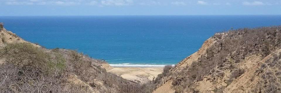 henryguacha's profile banner image