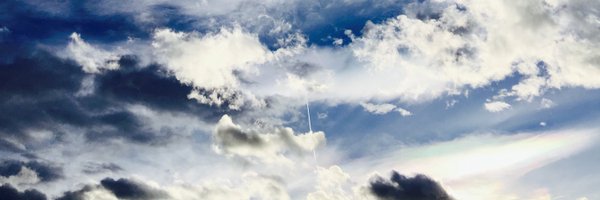 char_fish Profile Banner