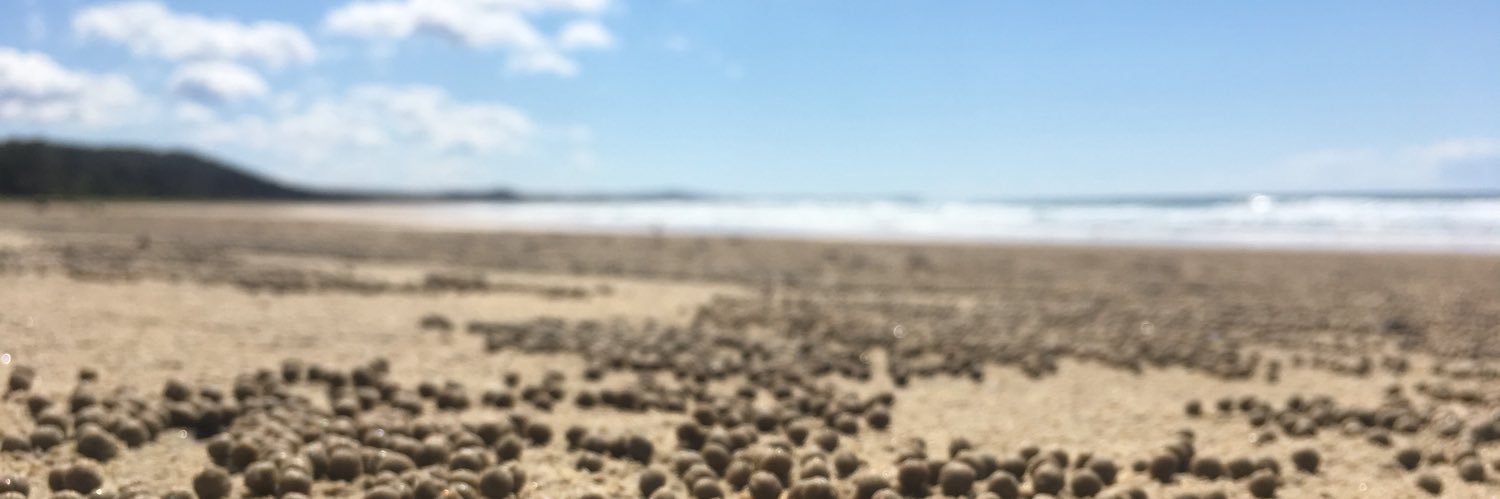 mrgrisedale's profile banner image