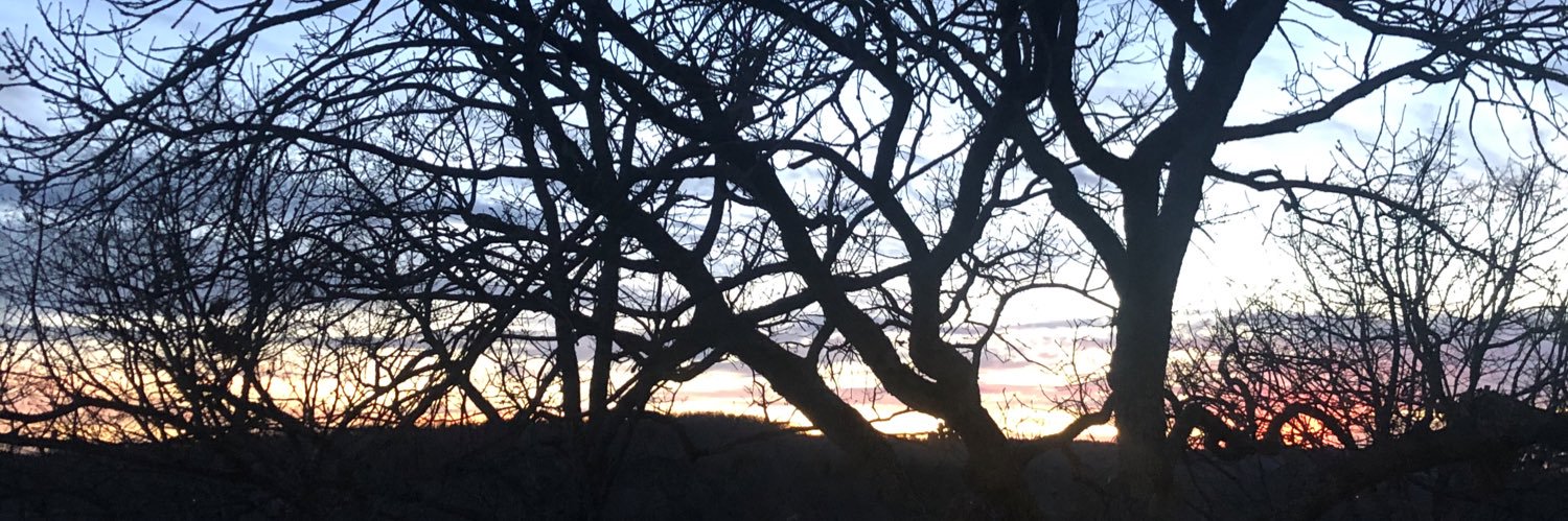 abbeylejong's profile banner image