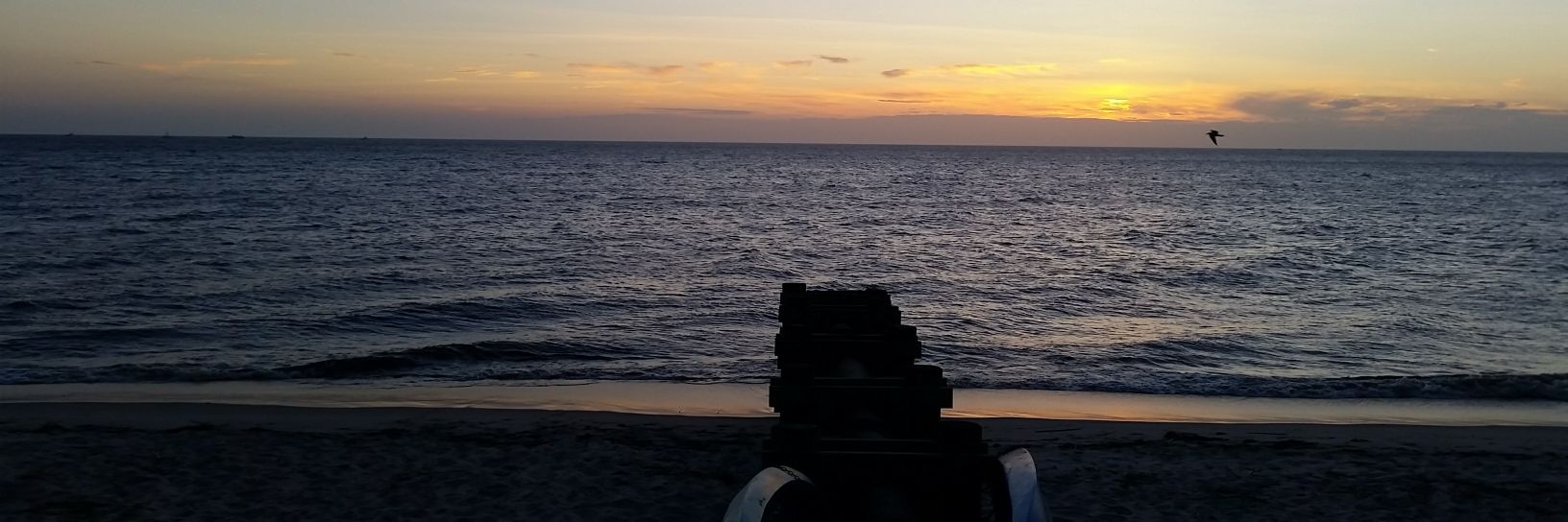 mlooch97's profile banner image