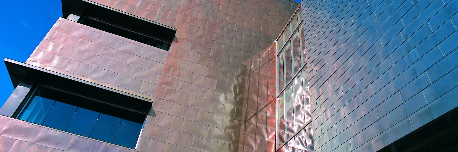 Rochester Art Center banner