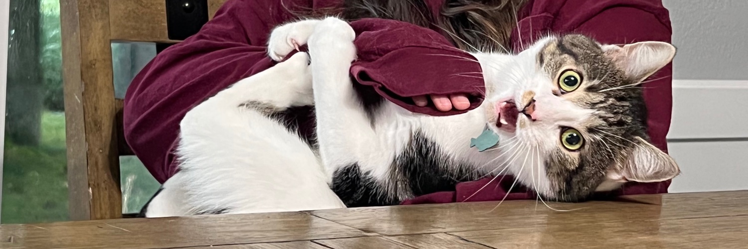 cmarielogan's profile banner image