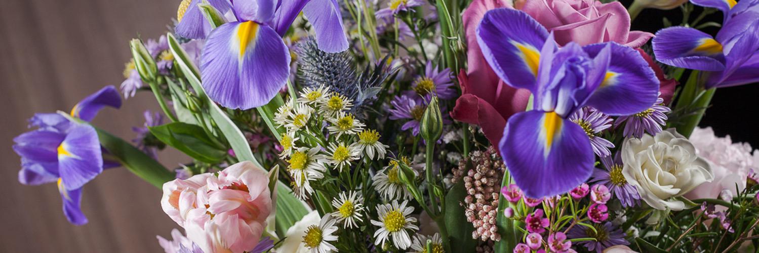 flowerstudioNL's profile banner image