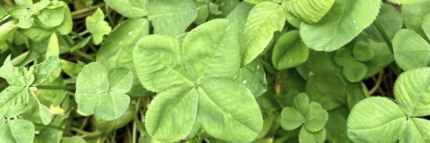 ひろん☺︎❤︎ banner