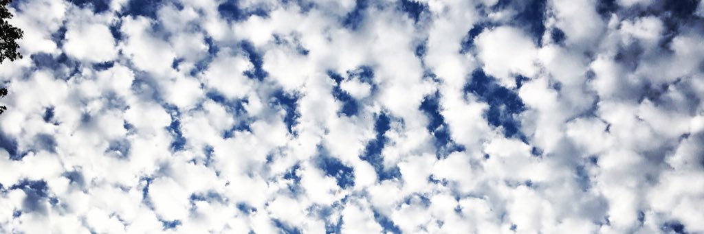 EmilyWheatman's profile banner image