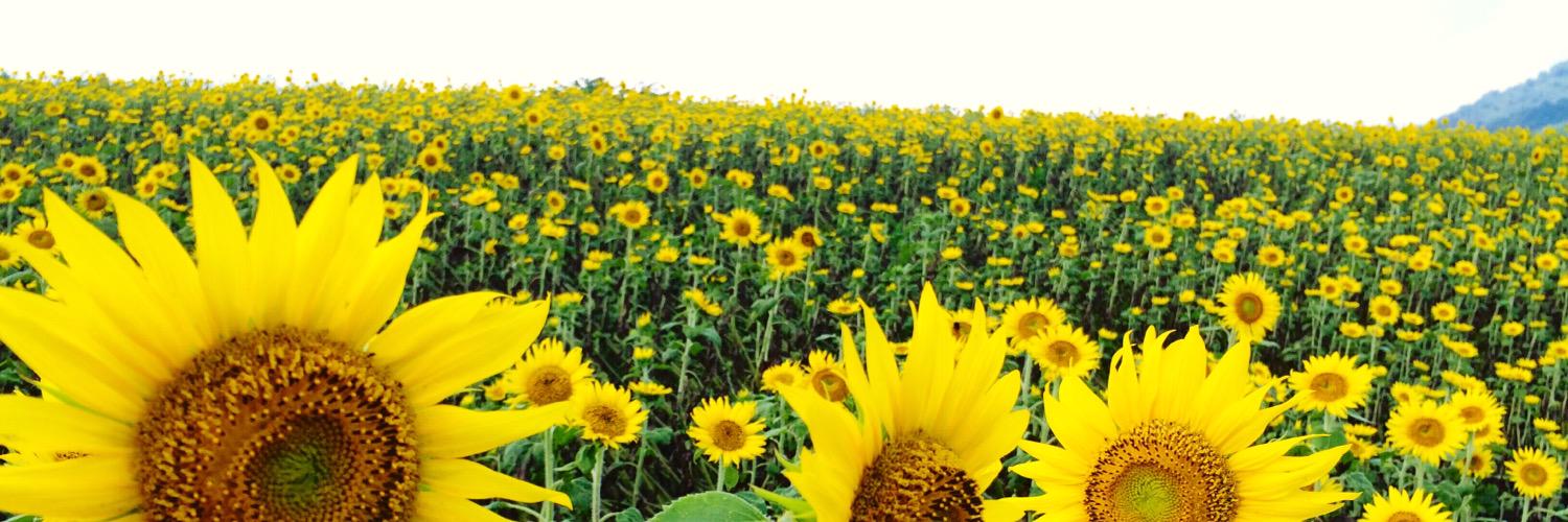 mzappaaa's profile banner image