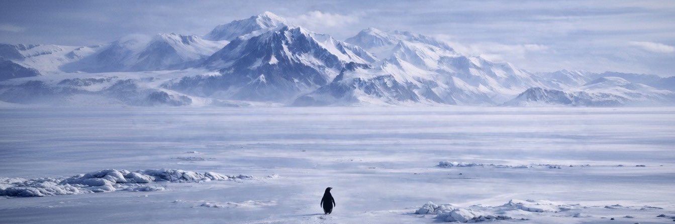 𝙼𝚘𝚛𝚒𝚝𝚣⚔️𝙼𝚊𝚡𝚒𝚖𝚞𝚜 banner