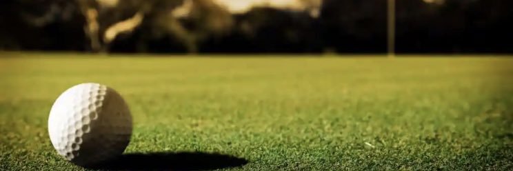 dgmickley's profile banner image