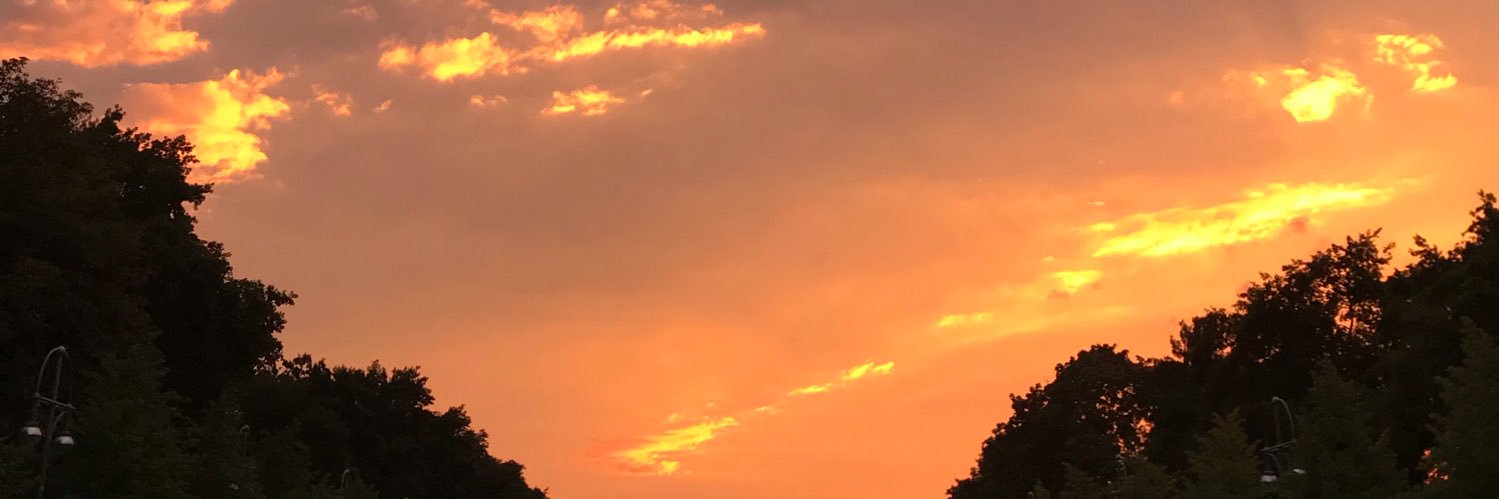 malibu_biff's profile banner image