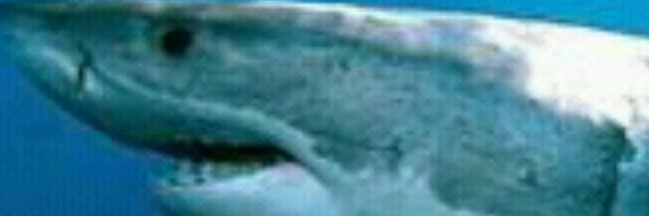dan_Alg's profile banner image