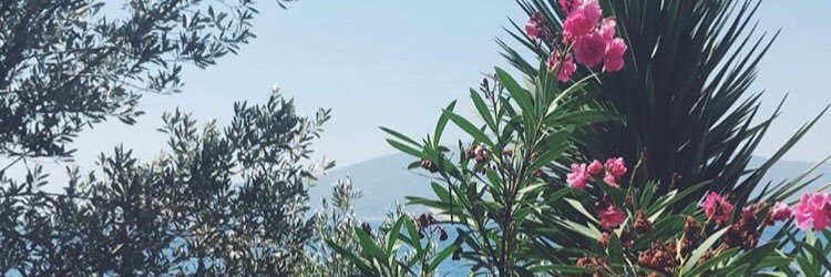 AmeliaPooley's profile banner image