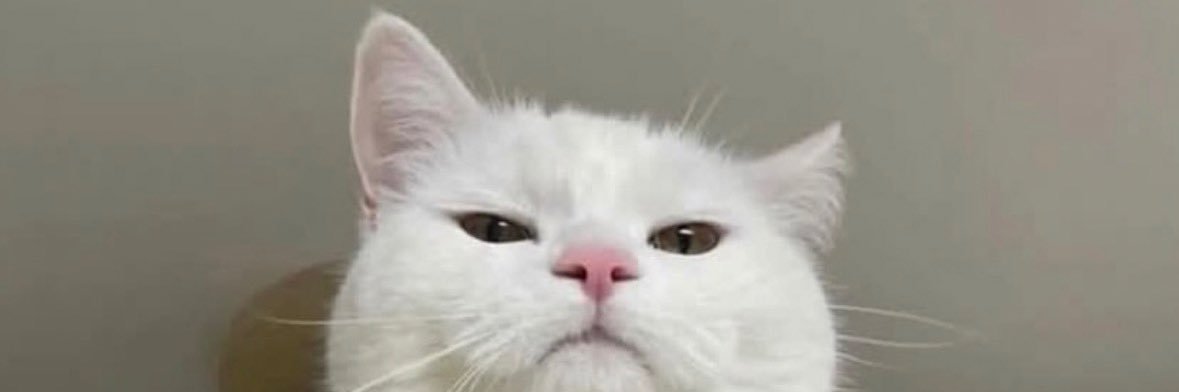 UnaPocket's profile banner image