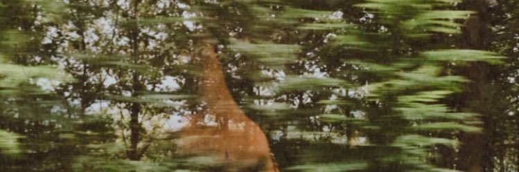 putsintya's profile banner image