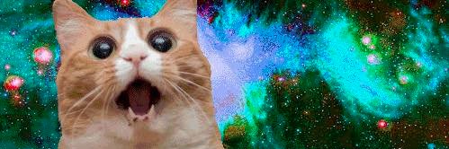 420_finder's profile banner image