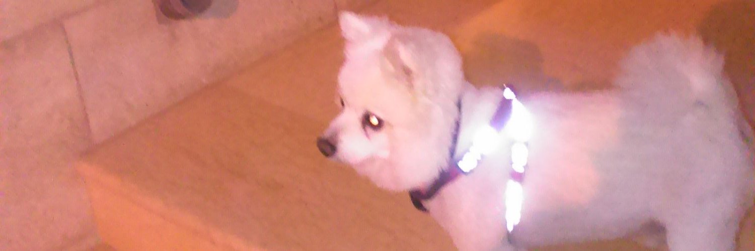 grcstamatis's profile banner image