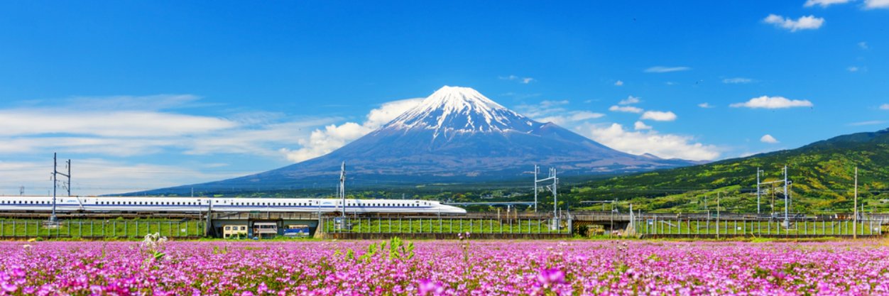 vincent_17100's profile banner image