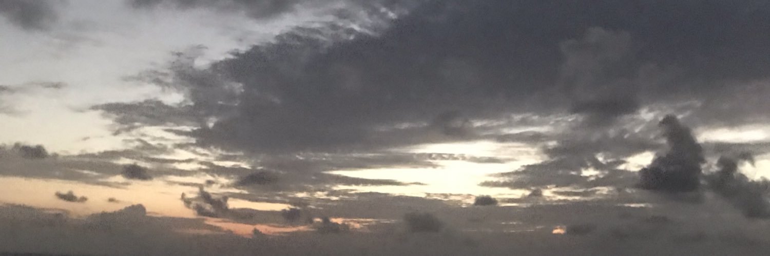 PeacockAsha's profile banner image