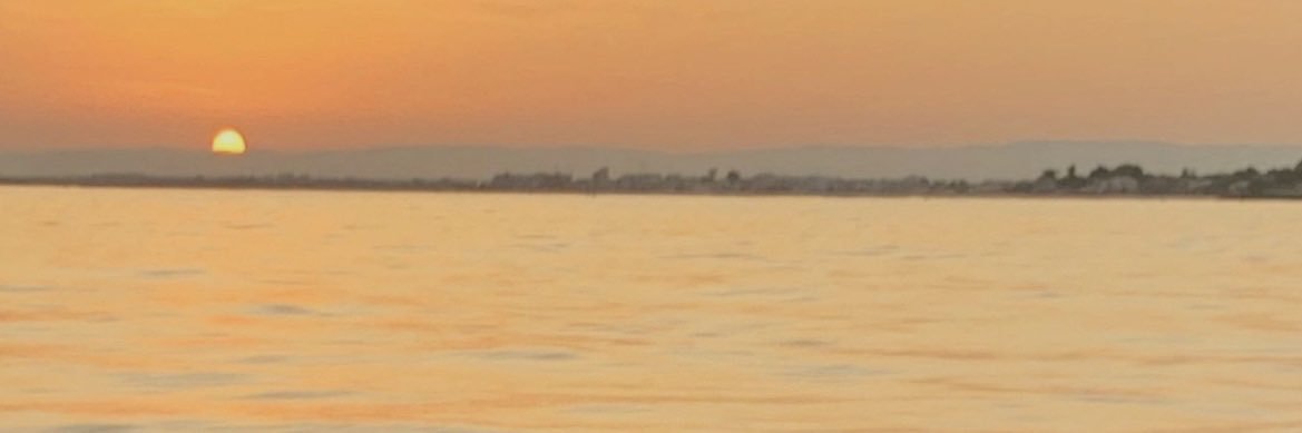 emmadrbb's profile banner image