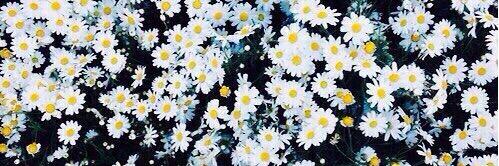 parafootball's profile banner image