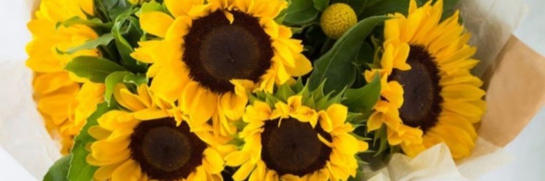 its_bettaxx's profile banner image
