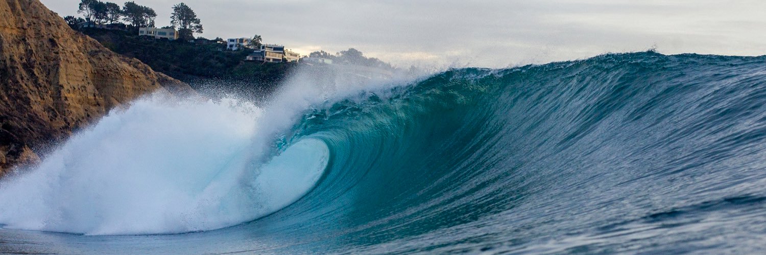 Laith Alshawabkeh, MD, MSc banner