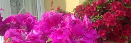 faruk_cinlar's profile banner image
