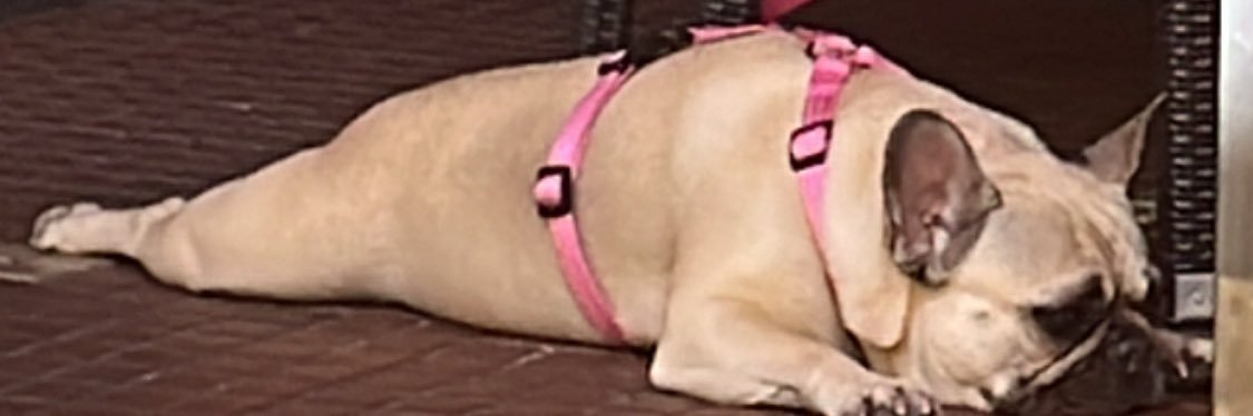 eriqueennn's profile banner image