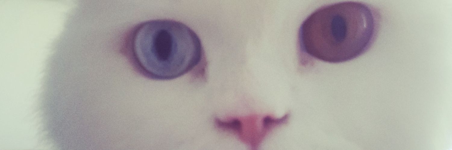 AzerGulin's profile banner image
